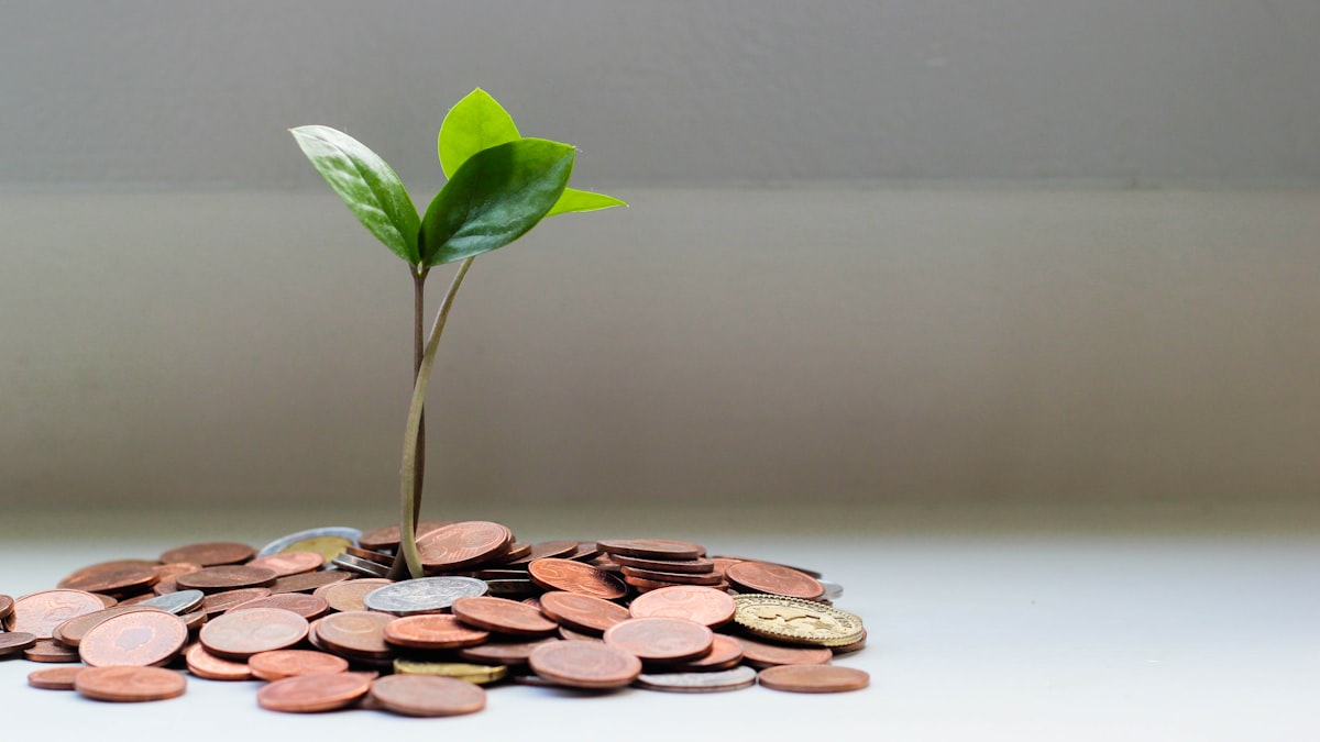 The Real Cost of Slow Provisioning — And What Happens When It Takes One Sentence Instead of One Day